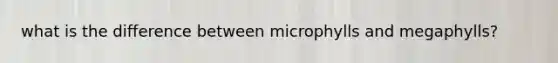 what is the difference between microphylls and megaphylls?