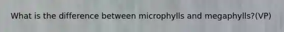 What is the difference between microphylls and megaphylls?(VP)