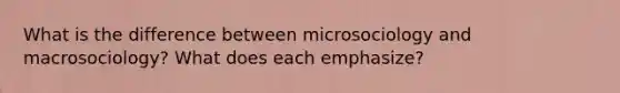 What is the difference between microsociology and macrosociology? What does each emphasize?