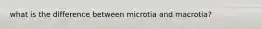 what is the difference between microtia and macrotia?