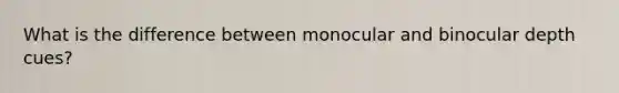 What is the difference between monocular and binocular depth cues?