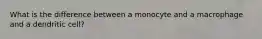 What is the difference between a monocyte and a macrophage and a dendritic cell?