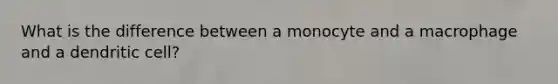 What is the difference between a monocyte and a macrophage and a dendritic cell?