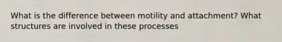 What is the difference between motility and attachment? What structures are involved in these processes