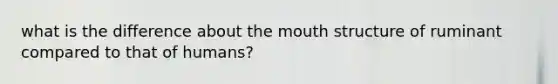 what is the difference about the mouth structure of ruminant compared to that of humans?