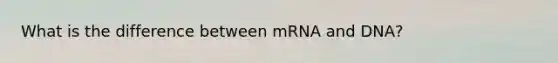 What is the difference between mRNA and DNA?