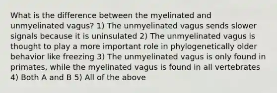 What is the difference between the myelinated and unmyelinated vagus? 1) The unmyelinated vagus sends slower signals because it is uninsulated 2) The unmyelinated vagus is thought to play a more important role in phylogenetically older behavior like freezing 3) The unmyelinated vagus is only found in primates, while the myelinated vagus is found in all vertebrates 4) Both A and B 5) All of the above