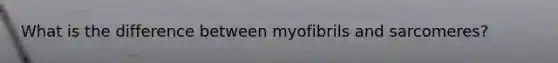 What is the difference between myofibrils and sarcomeres?