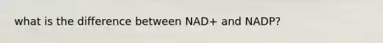 what is the difference between NAD+ and NADP?