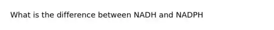 What is the difference between NADH and NADPH