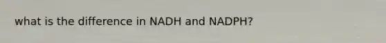 what is the difference in NADH and NADPH?