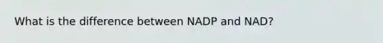 What is the difference between NADP and NAD?