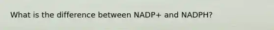 What is the difference between NADP+ and NADPH?