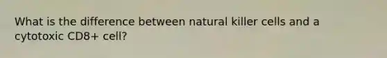 What is the difference between natural killer cells and a cytotoxic CD8+ cell?