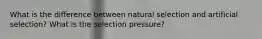 What is the difference between natural selection and artificial selection? What is the selection pressure?