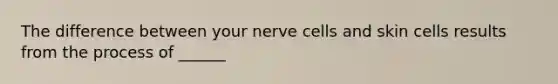 The difference between your nerve cells and skin cells results from the process of ______