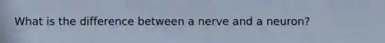 What is the difference between a nerve and a neuron?