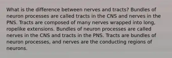 What is the difference between nerves and tracts? Bundles of neuron processes are called tracts in the CNS and nerves in the PNS. Tracts are composed of many nerves wrapped into long, ropelike extensions. Bundles of neuron processes are called nerves in the CNS and tracts in the PNS. Tracts are bundles of neuron processes, and nerves are the conducting regions of neurons.