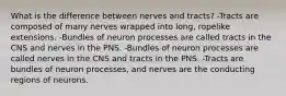 What is the difference between nerves and tracts? -Tracts are composed of many nerves wrapped into long, ropelike extensions. -Bundles of neuron processes are called tracts in the CNS and nerves in the PNS. -Bundles of neuron processes are called nerves in the CNS and tracts in the PNS. -Tracts are bundles of neuron processes, and nerves are the conducting regions of neurons.