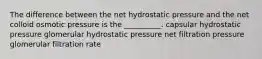 The difference between the net hydrostatic pressure and the net colloid osmotic pressure is the __________. capsular hydrostatic pressure glomerular hydrostatic pressure net filtration pressure glomerular filtration rate