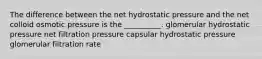 The difference between the net hydrostatic pressure and the net colloid osmotic pressure is the __________. glomerular hydrostatic pressure net filtration pressure capsular hydrostatic pressure glomerular filtration rate