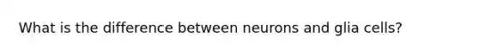 What is the difference between neurons and glia cells?