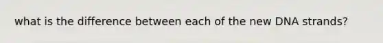 what is the difference between each of the new DNA strands?