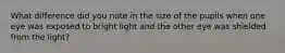 What difference did you note in the size of the pupils when one eye was exposed to bright light and the other eye was shielded from the light?