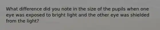 What difference did you note in the size of the pupils when one eye was exposed to bright light and the other eye was shielded from the light?