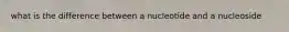 what is the difference between a nucleotide and a nucleoside