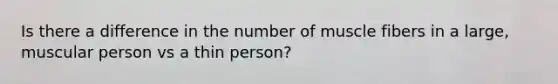 Is there a difference in the number of muscle fibers in a large, muscular person vs a thin person?