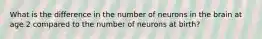 What is the difference in the number of neurons in the brain at age 2 compared to the number of neurons at birth?