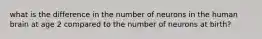 what is the difference in the number of neurons in the human brain at age 2 compared to the number of neurons at birth?