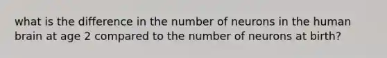 what is the difference in the number of neurons in the human brain at age 2 compared to the number of neurons at birth?