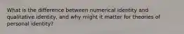 What is the difference between numerical identity and qualitative identity, and why might it matter for theories of personal identity?