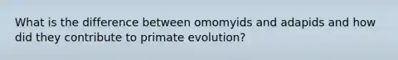 What is the difference between omomyids and adapids and how did they contribute to primate evolution?