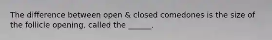 The difference between open & closed comedones is the size of the follicle opening, called the ______.