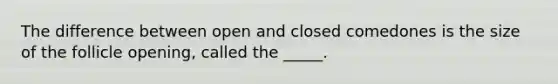 The difference between open and closed comedones is the size of the follicle opening, called the _____.