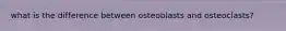 what is the difference between osteoblasts and osteoclasts?