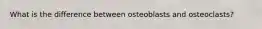 What is the difference between osteoblasts and osteoclasts?