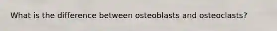 What is the difference between osteoblasts and osteoclasts?