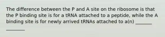 The difference between the P and A site on the ribosome is that the P binding site is for a tRNA attached to a peptide, while the A binding site is for newly arrived tRNAs attached to a(n) _______ ________