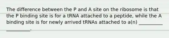 The difference between the P and A site on the ribosome is that the P binding site is for a tRNA attached to a peptide, while the A binding site is for newly arrived tRNAs attached to a(n) __________ __________.