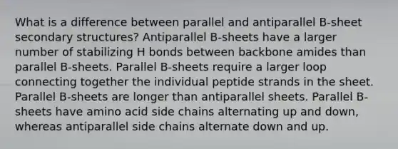 What is a difference between parallel and antiparallel B-sheet secondary structures? Antiparallel B-sheets have a larger number of stabilizing H bonds between backbone amides than parallel B-sheets. Parallel B-sheets require a larger loop connecting together the individual peptide strands in the sheet. Parallel B-sheets are longer than antiparallel sheets. Parallel B-sheets have amino acid side chains alternating up and down, whereas antiparallel side chains alternate down and up.