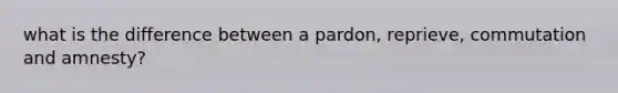 what is the difference between a pardon, reprieve, commutation and amnesty?