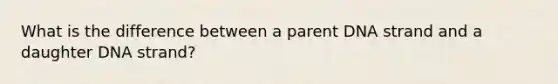 What is the difference between a parent DNA strand and a daughter DNA strand?