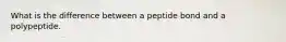 What is the difference between a peptide bond and a polypeptide.