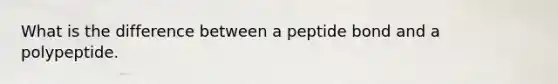 What is the difference between a peptide bond and a polypeptide.