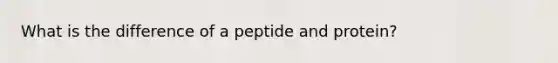 What is the difference of a peptide and protein?