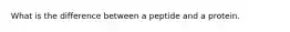 What is the difference between a peptide and a protein.